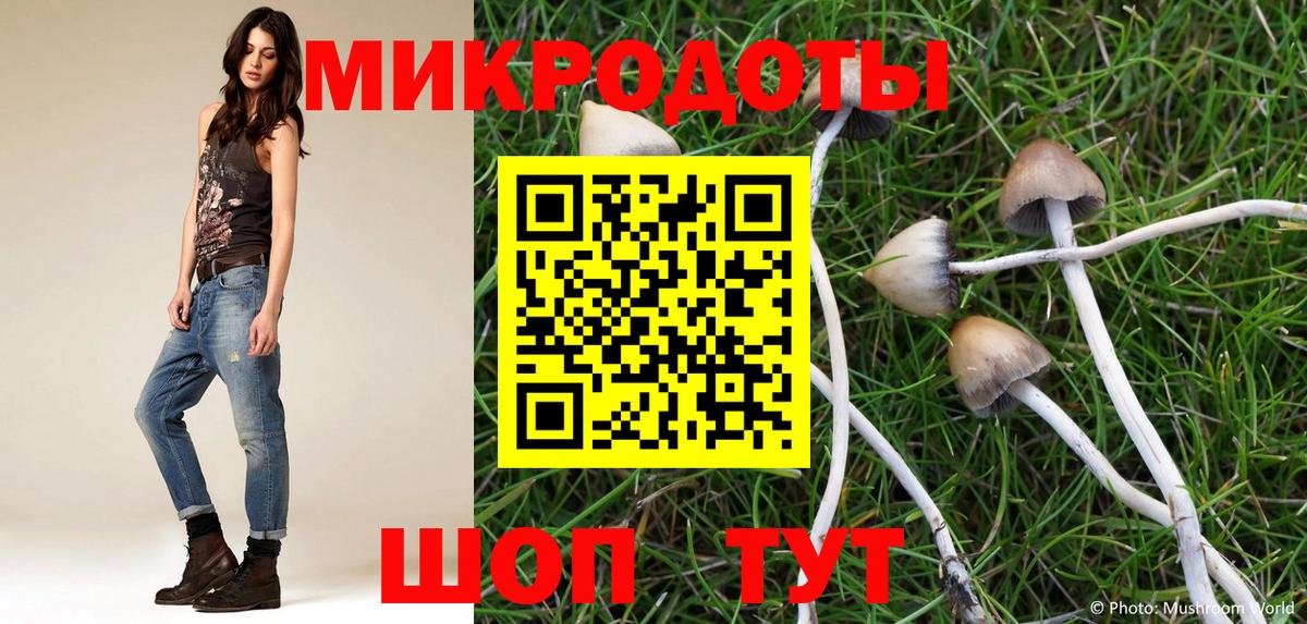 Волоколамск  Галлюциногенные грибы Cubensis  Вход с VPN 