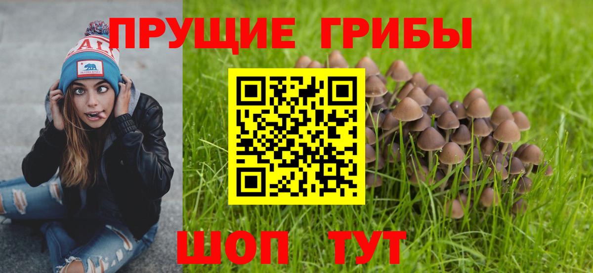 Галлюциногенные грибы Cubensis Волоколамск
